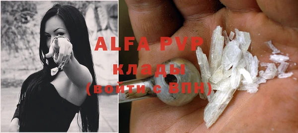 гашик Абаза
