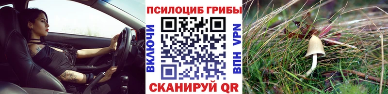 Галлюциногенные грибы мухоморы  Прохладный 